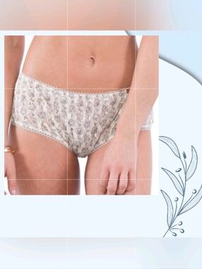 🦋 NEW! Daydream Nation Wilshire Pany-Floral Mesh Lace Panty 🦋